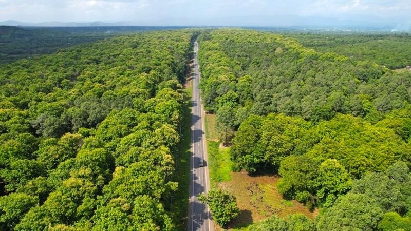 Gia Lai phát triển nông nghiệp giảm phát thải, mở đường tham gia thị trường tín chỉ carbon Gia Lai phát triển nông nghiệp giảm phát thải, mở đường tham gia thị trường tín chỉ carbon