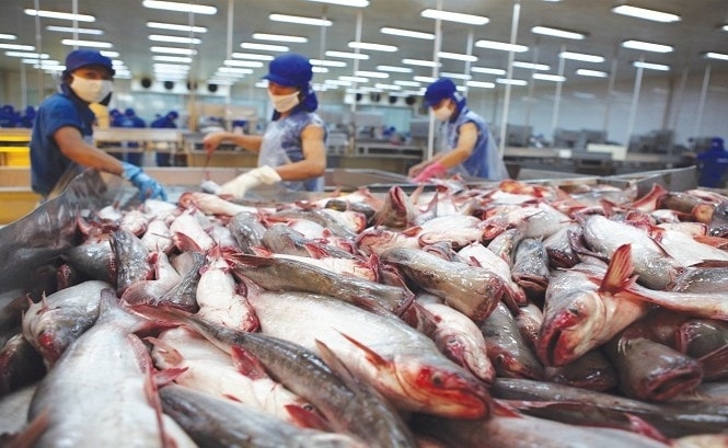 Phát triển chế biến thủy sản theo hướng hiện đại, bền vững