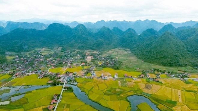 Lạng Sơn sắp mở đường nối làng du lịch nổi tiếng với rừng nghiến trăm năm