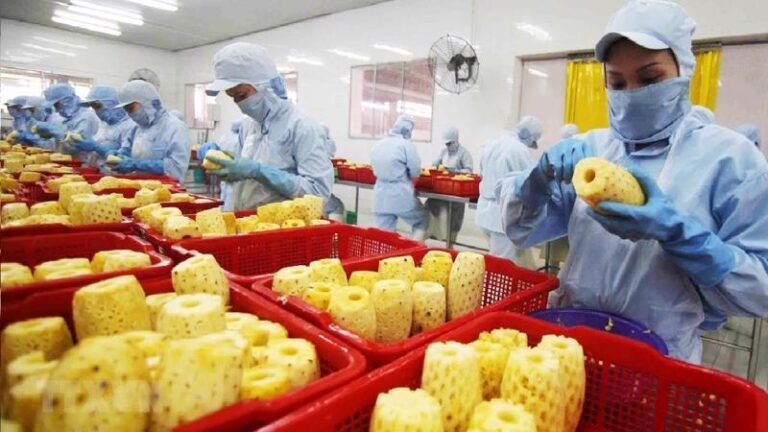 Nông sản Việt Nam nâng tầm vị thế toàn cầu bằng chiến lược tăng trưởng xanh
