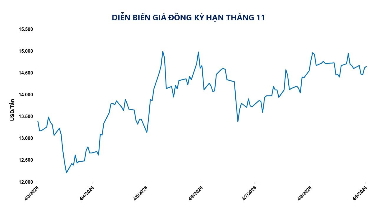 anh-3_-dien-bien-gia-dong-ky-han-thang-11.jpg