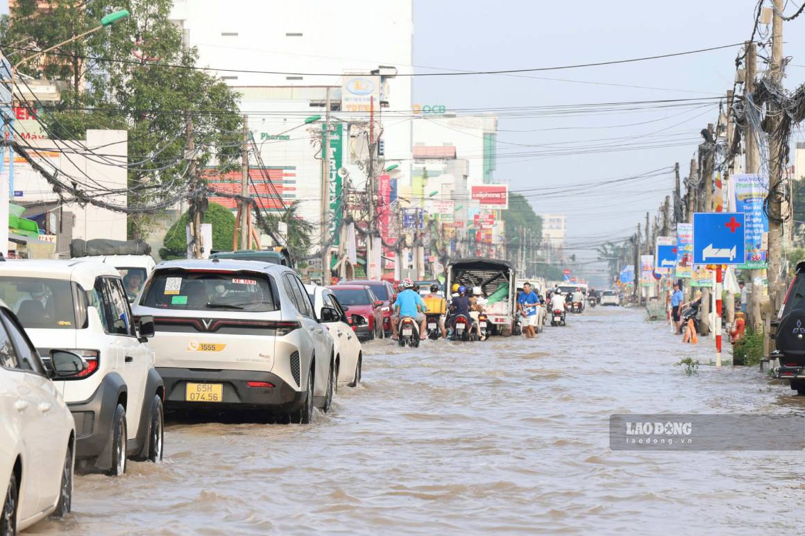 Triều cường dâng cao làm ngập nhiều vị trí trên Quốc lộ 91 và các hẻm xung quanh. Ảnh: Tạ Quang (ảnh chụp ngày 14.9)