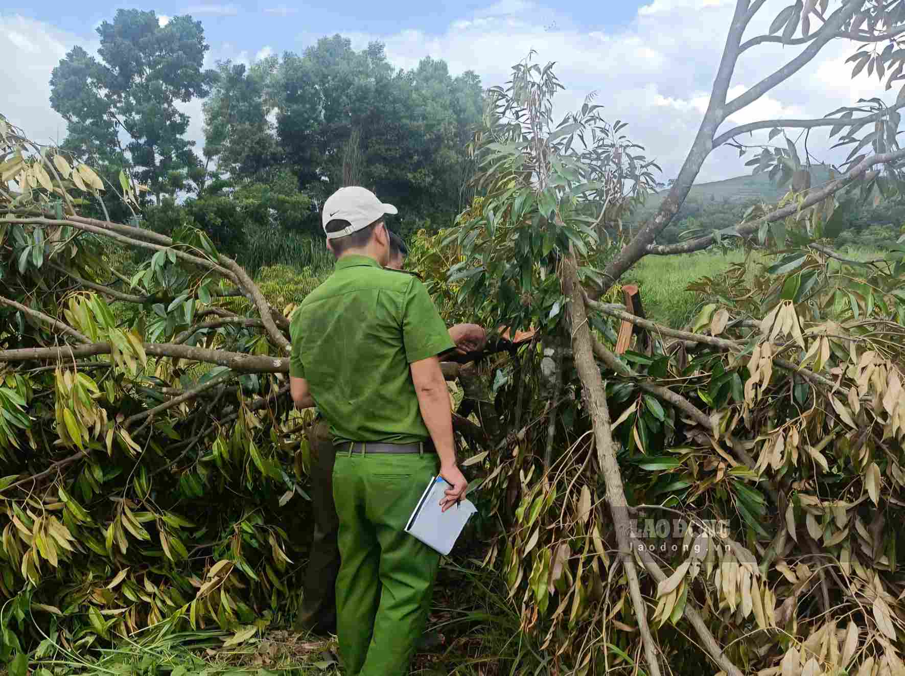 Cơ quan công an khám nghiệm hiện trường liên quan đến vụ việc xảy ra tại Công ty Minh Long (Ảnh chụp ngày 16.9). Ảnh: Anh Ngọc