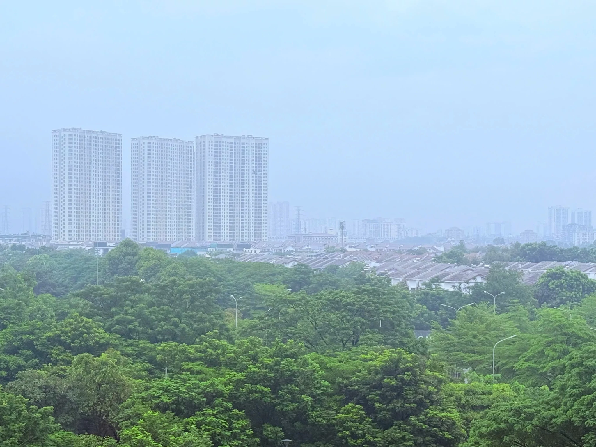 Ảnh Thuỳ Linh. tiền sử dụng đất. Ảnh Thuỳ Linh.