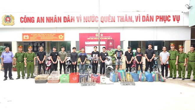 Đường dây trộm mèo hoạt động 5 giờ mỗi đêm, tiêu thụ khoảng 2.700 con