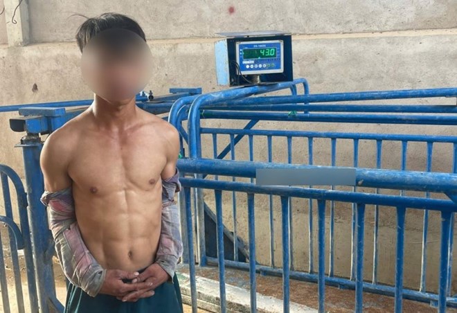 Vừa ra tù, tiếp tục chui rào vào trang trại trộm cắp tài sản thì bị bắt